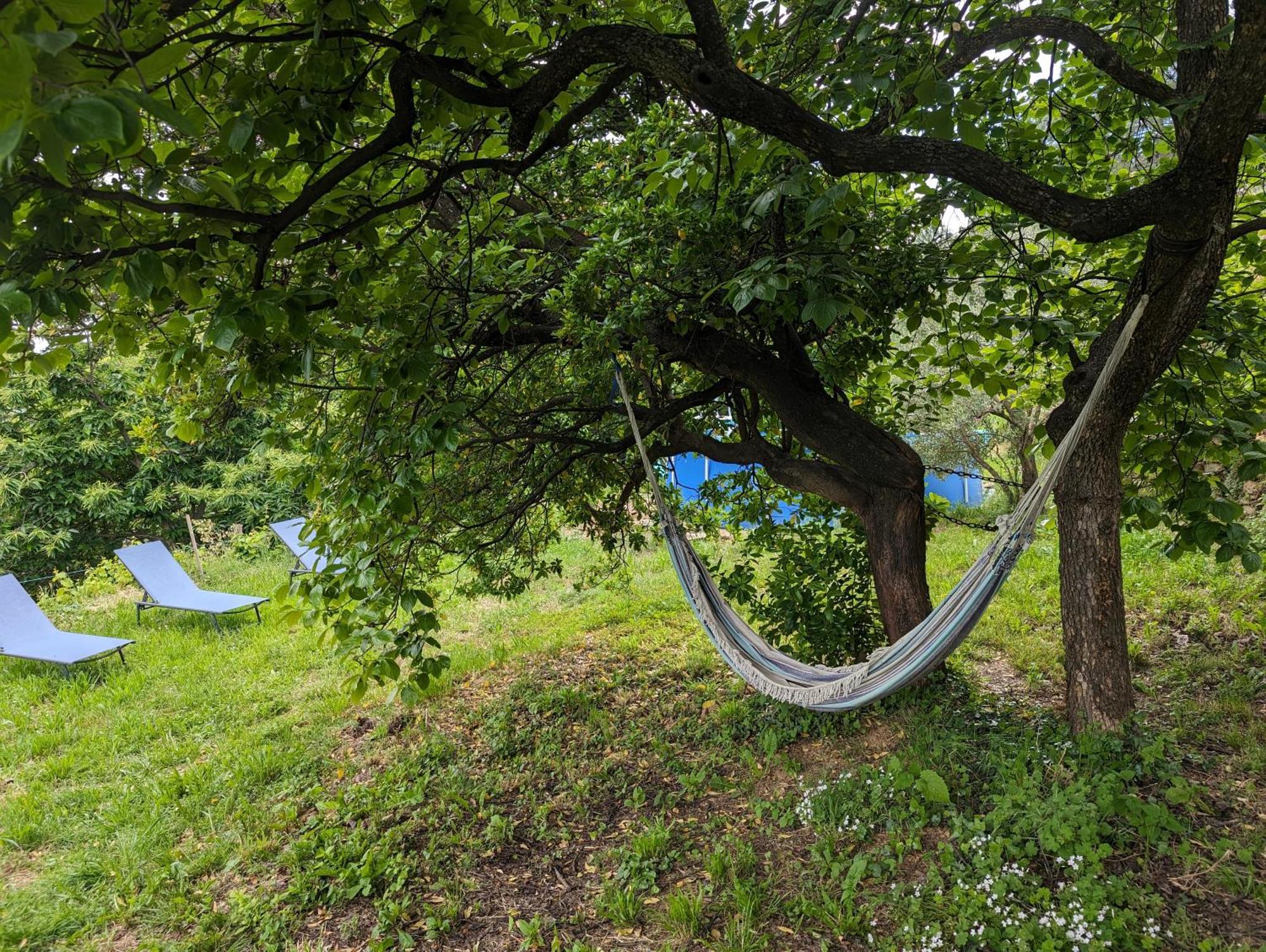 Gite Du Tilleul - 2 Etoiles - Domaine De L'Olivier Faugeres  Esterno foto